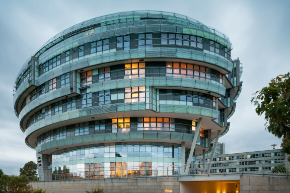 International Neuroscience Institute
